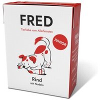Fred & Felia FRED 10x390g JUNIOR Rind mit Nudeln