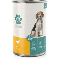 Fellicita Huhn & Reis 6x 400g