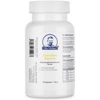 Dr. Hölter CurcuDoc Kurkuma Pulver 40 g