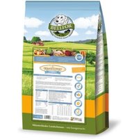 Bellfor Trockenfutter mit Huhn für Welpen und Junge Hunde - Freiland-Schmaus Junior - 2,5 kg