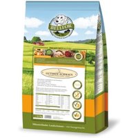 Bellfor Trockenfutter für Hunde mit Huhn Gutshof-Schmaus - 2,5 kg