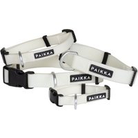 Paikka Glow Collar 17 cm, 2 cm
