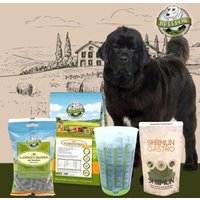 Bellfor Futterset für große Hunde mit Verdauungsbeschwerden