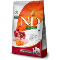 N&D Farmina Pumpkin Medium/Maxi Adult Huhn 2x12 kg