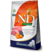 N&D Farmina Pumpkin Medium/Maxi Puppy Lamm 2x12 kg