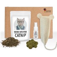Kater Kasimir Katzenminze Party Paket