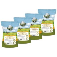 Bellfor Sparset Nr. 11 - Trockenfleischstreifen 4-er - 400 g