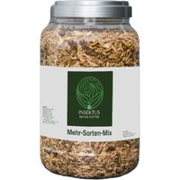 Insektus Mehr Sorten Mix 500 g