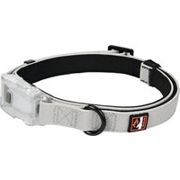 Dogs Creek Leuchthalsband Polar Light M