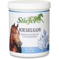 Stiefel Kieselgur 1 kg