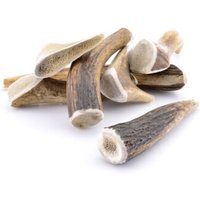 Larsson Geweih S ca. 50-80g