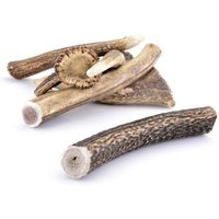 Larsson Geweih XL ca. 160-250g