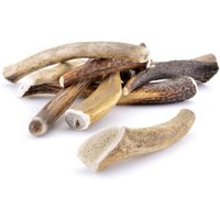 Larsson Geweih XS ca. 30-50g