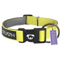STUCH Hundehalsband gepolstert u. verstellbar zitronengrün L