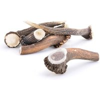 Larsson Geweih XXL ca. 250-350g