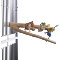 Java Sitzstange Java mit Spielzeug