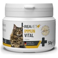 REAVET Immun Vital 50g für Katzen