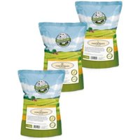 Bellfor Sparset Nr. 1 - Trockenfleischstreifen Mix Huhn 100g, Truthahn 100g & Ente 100g