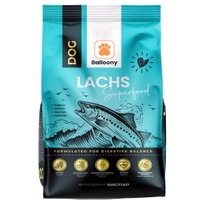 Balloony.pet German Shephy Hundefutter Lachs 500 g