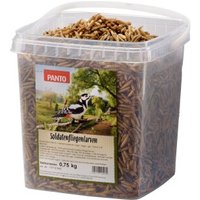 Panto SOLDATENFLIEGENLARVEN 750G