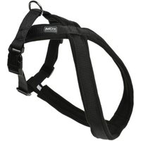 AniOne X-Geschirr Classic schwarz XS-S