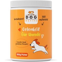 Dog-Native GelenkFit für Hunde, natürliches Gelenkpulver, Gelenk Fit Pulver mit Grünlippmuschel, MSM, Kollagen & Chondroitin für Gelenke & Knochen 500 g