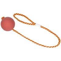 FIT+FUN Ball am Seil