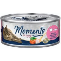 MOMENTS Adult Huhn mit Lachs und Spinat 24x70 g