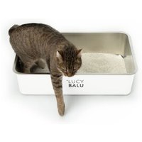 LucyBalu STEELOO Katzentoilette weiß