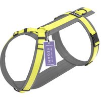 STUCH Geschirr Hund gepolstert limonen gelb S