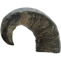 Bubimex Büffel-Kauhorn, Größe: S M