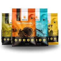 Balloony.pet Balloony Hundefutter Probierpaket