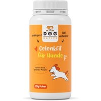 Dog-Native GelenkFit für Hunde, natürliches Gelenkpulver, Gelenk Fit Pulver mit Grünlippmuschel, MSM, Kollagen & Chondroitin für Gelenke & Knochen, 175g