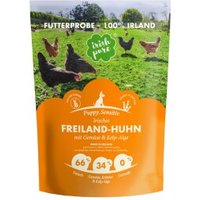 Irish Pure Trockenfutter: Irisches Freiland-Huhn mit Gemüse & Kelp-Alge, Puppy
