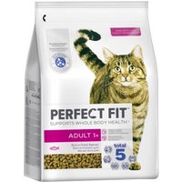 PERFECT FIT Adult 1+ Reich an Lachs 2x2,8 kg