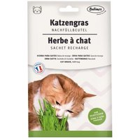 Bubimex Katzengras Nachfüllbeutel 100g