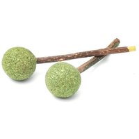 Aumüller Dentalspielzeug Lollis 2er Set