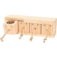 AniOne Training Würfel