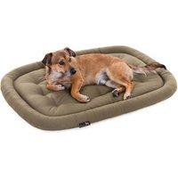 Doctor Bark Pointer Hundekissen sandbraun L