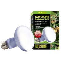 Exo Terra ExoTerra Daylight Basking Spot 100 W