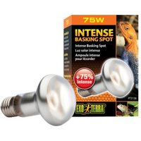 Exo Terra Intense Basking Spot 75 W
