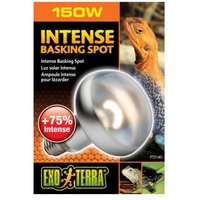 Exo Terra Intense Basking Spot 150 W