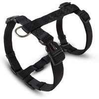 Wolters Geschirr Professional schwarz XS