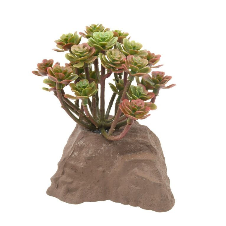 Lucky Reptile Steinpflanze für Terrarien. Gestalte dein Terrarium naturnah mit der Lucky Reptile Steinpflanze. Pflegeleicht