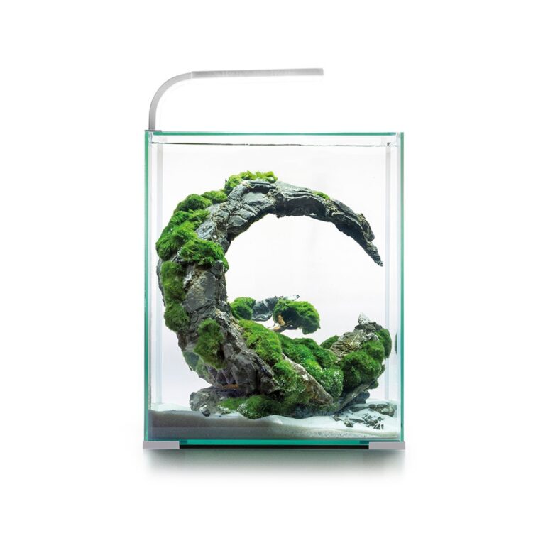 Das Aquael Shrimp Set Day & Night Nanoaquarium bietet ideale Lebensbedingungen für Garnelen
