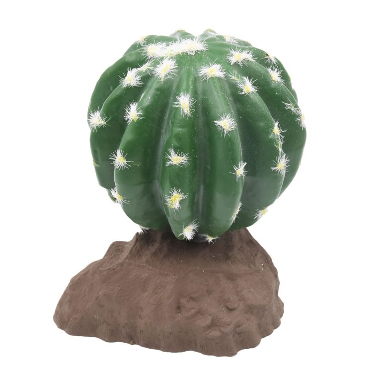 Lucky Reptile Kugelkaktus 13 cm: Perfekte Terrariendeko. Verleihe deinem Terrarium eine authentische Wüstenoptik mit dem Lucky Reptile Kugelkaktus 13 cm. Pflegeleicht