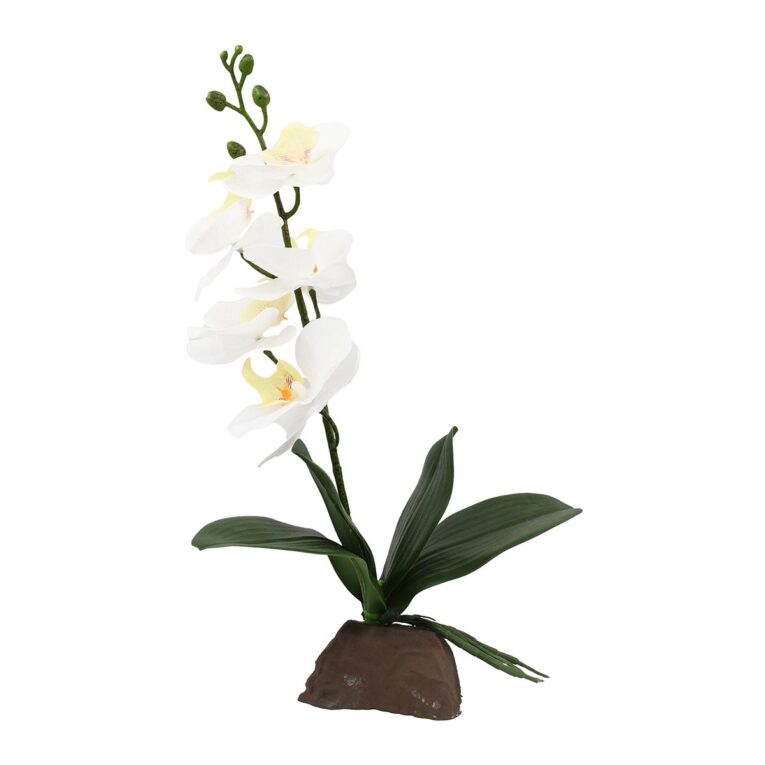 Lucky Reptile Orchidee: Perfekte Terrariendeko. Verleihe deinem Terrarium mit der Lucky Reptile Orchidee klein weiß 35 cm einen natürlichen Look. Pflegeleicht und flexibel platzierbar.