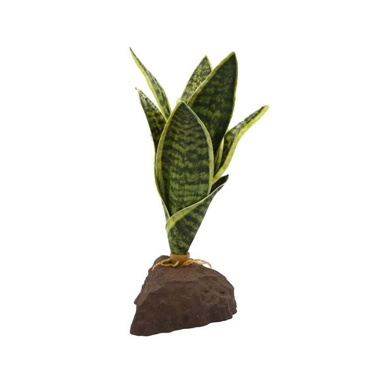 Lucky Reptile Sanseviera Pflanze 20 cm. Bringe natürliche Eleganz in dein Terrarium mit der Lucky Reptile Sanseviera Pflanze. Pflegefrei und flexibel platzierbar