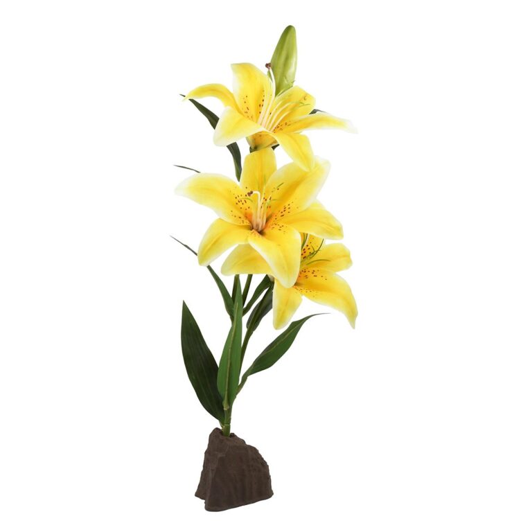 Lucky Reptile Lilie gelb 55 cm: Tropenflair pur. Bringe mit der Lucky Reptile Lilie gelb 55 cm lebendige Farben in dein Terrarium. Pflegeleicht und flexibel einsetzbar