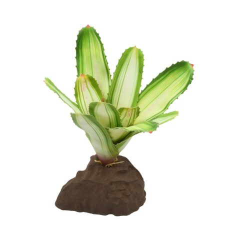 Lucky Reptile Bromelie Neoregelia weiß 20 cm